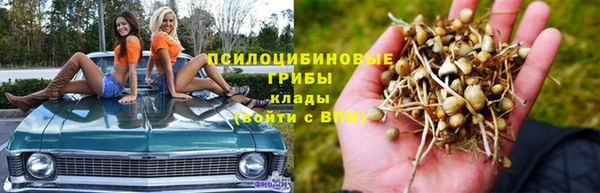 прущий лед Вязьма