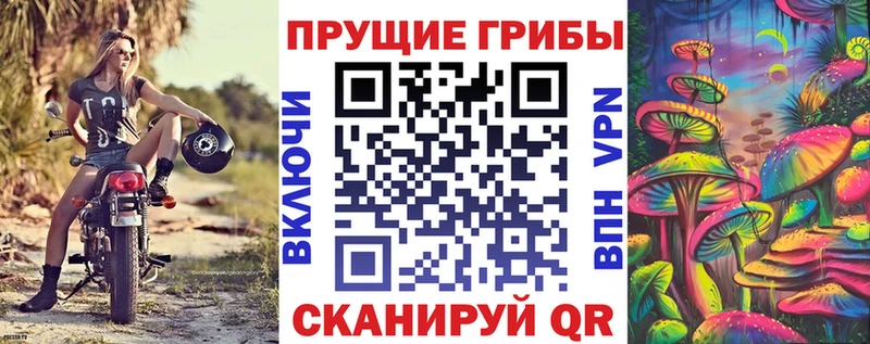 Галлюциногенные грибы GOLDEN TEACHER  Иннополис 
